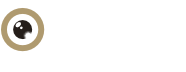 Zürich Filmfestival